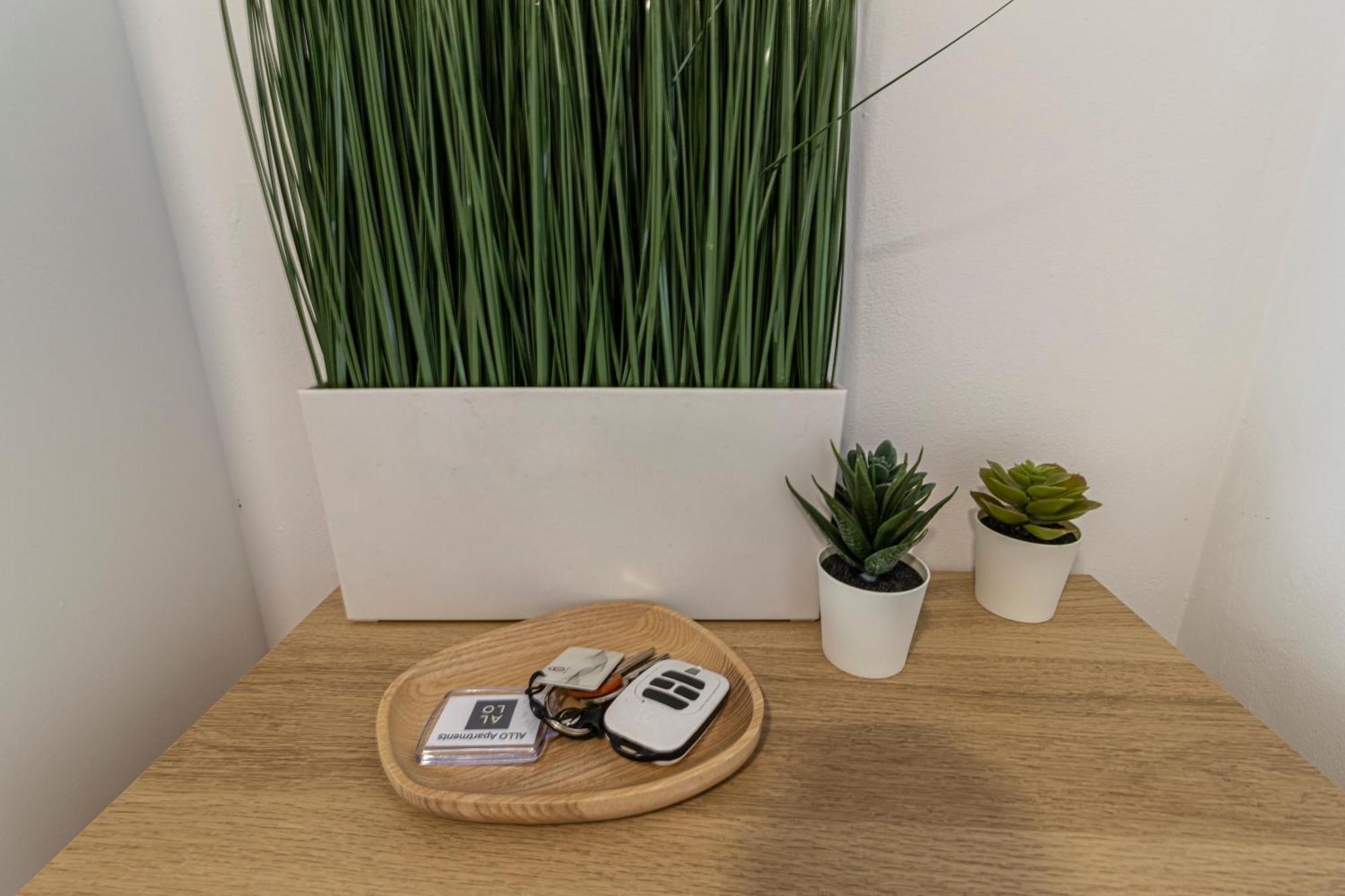 Allo Apartments Arroyo Atico Parking 1 Habitacion Херес-де-ла-Фронтера Екстер'єр фото